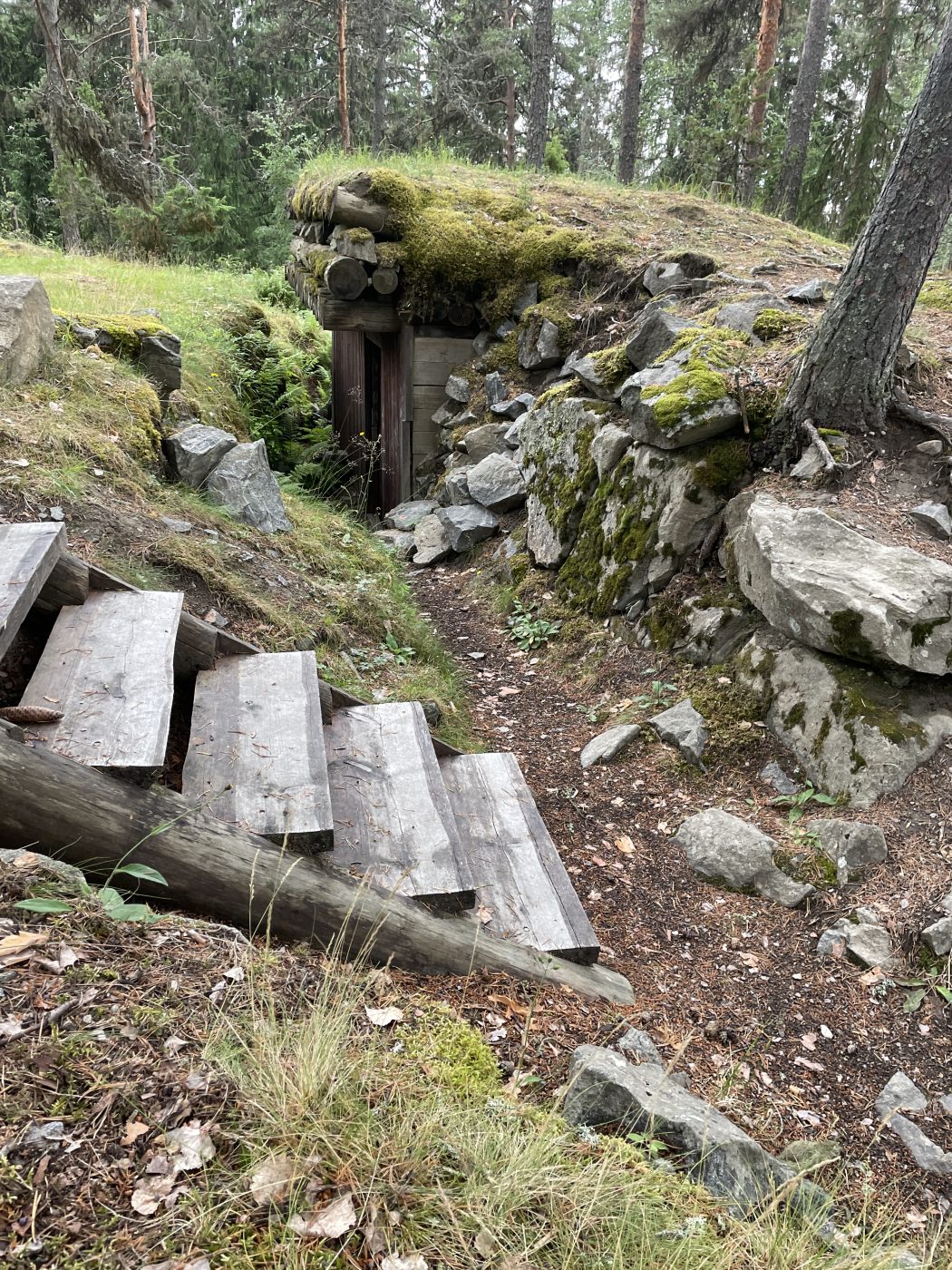 Hurskasvuoren maastoa