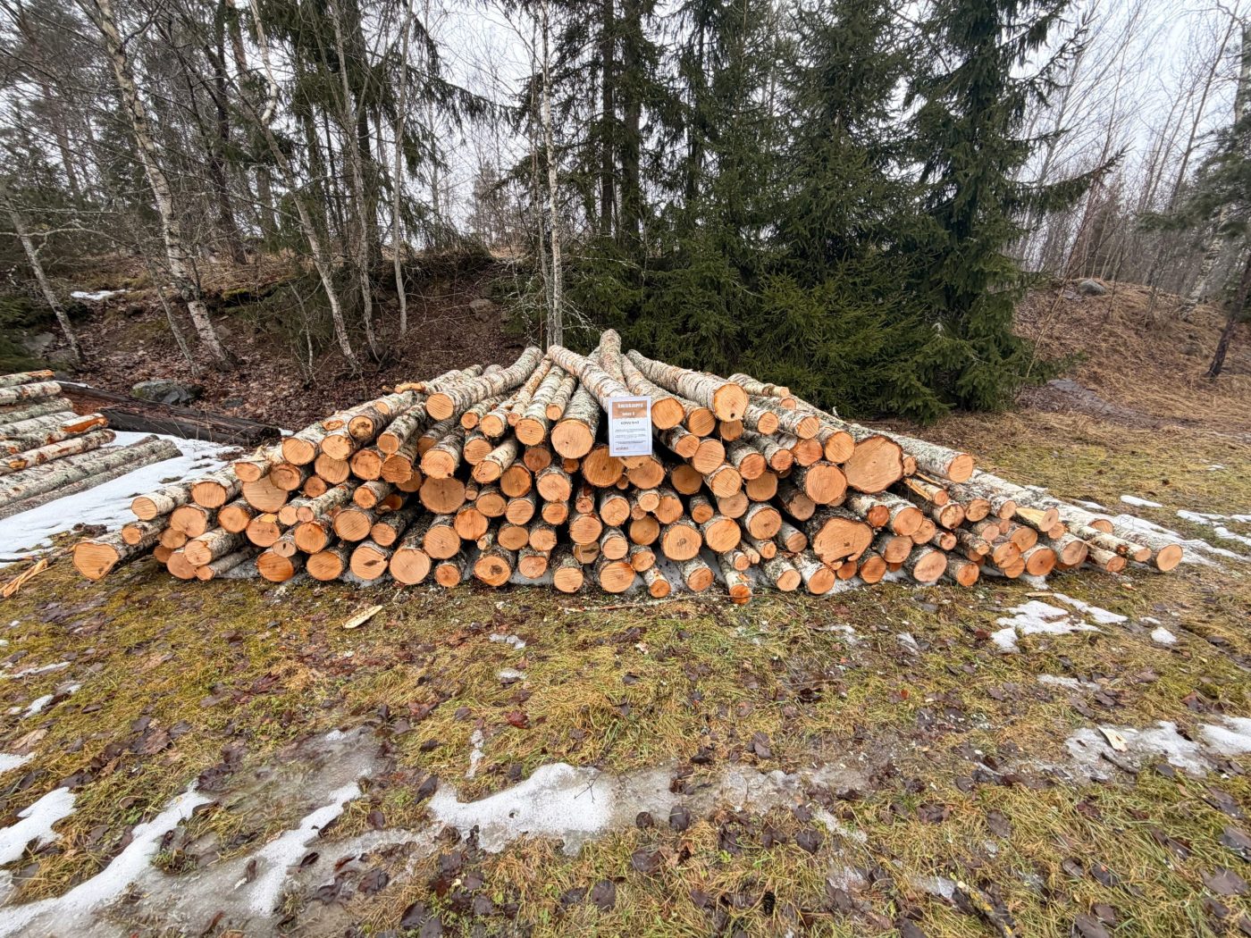 Kunnalla myynnissä olevaa rankapuuta.