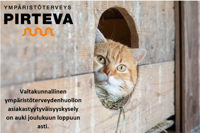 Ympäristöterveys Pirtevan logo ja asiakastyytyväisyyskysely teksti ja kissa, joka kurkkaa puisesta laatikosta.