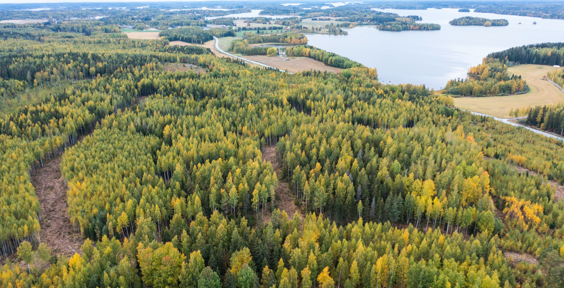 Kuvassa Metsämantereen uusi asuinalue taivaalta kuvattuna