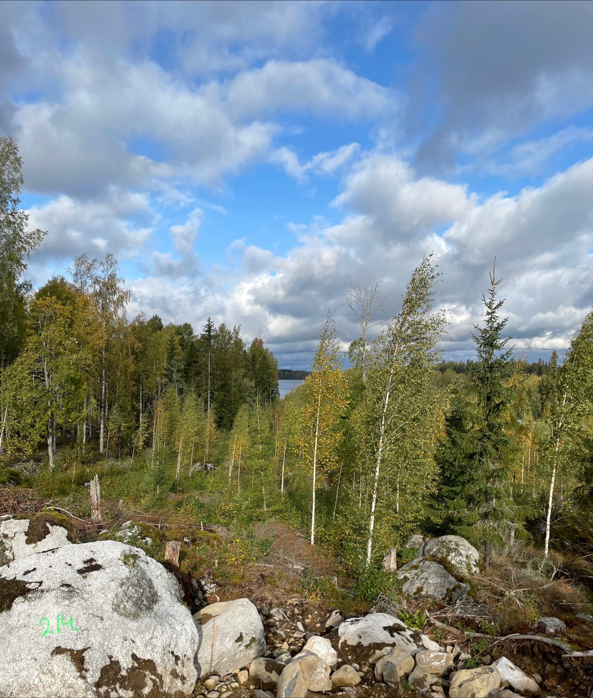 Maisemakuva Metsämantereen tontilta Pyhäjärvi näkymällä.