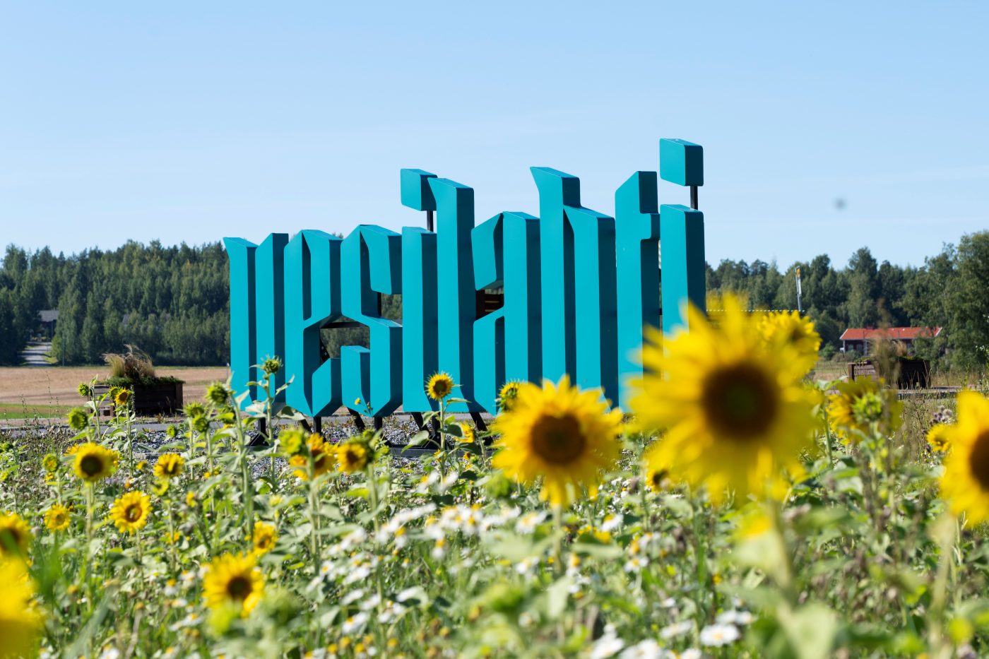 Vesilahti kyltti auringonkukkapellon keskellä