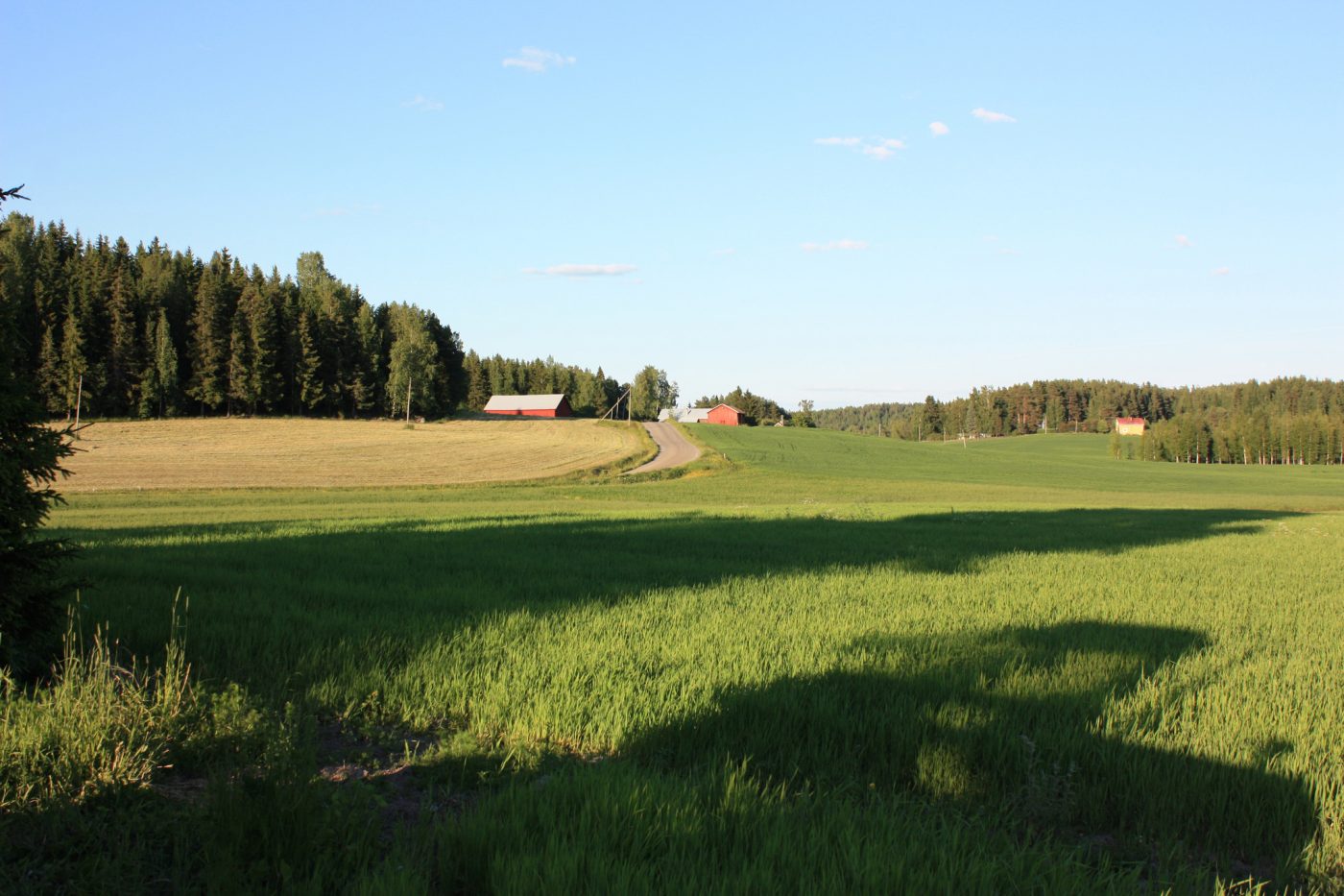 Maisemakuva Palhosta ja Vakkalasta kesäaikaan.